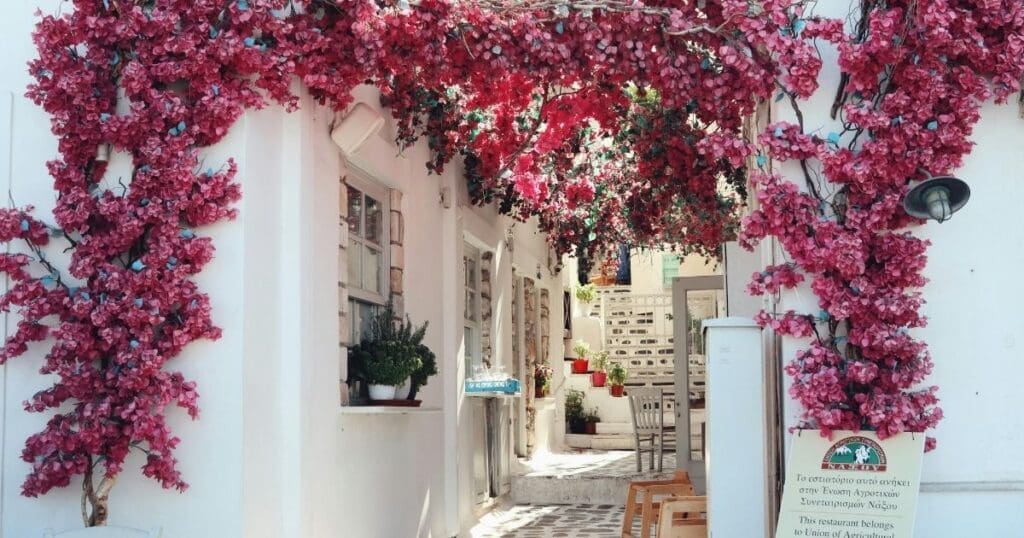 A narrow, whitewashed alleyway in Paros, Greece, lined with traditional houses and overflowing with vibrant pink bougainvillea flowers.